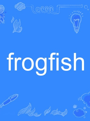 frogfish frogfish