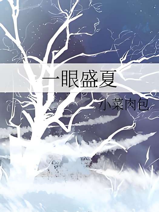 一眼盛夏(小菜肉包所著小說)