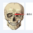 鼻根點 鼻根點