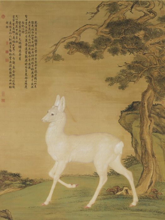 瑞麅圖 瑞麅圖