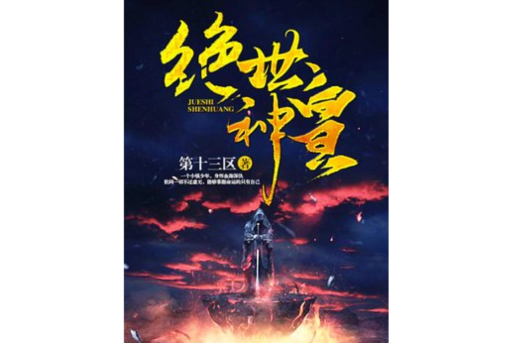 絕世神皇(第十三區所著小說)