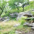 大周山(河南省滎陽市崔廟鎮大周山) 大周山(河南省滎陽市崔廟鎮大周山)