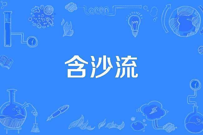 含沙流 含沙流