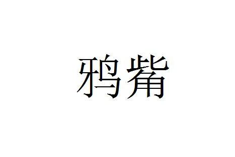 鴉觜 鴉觜