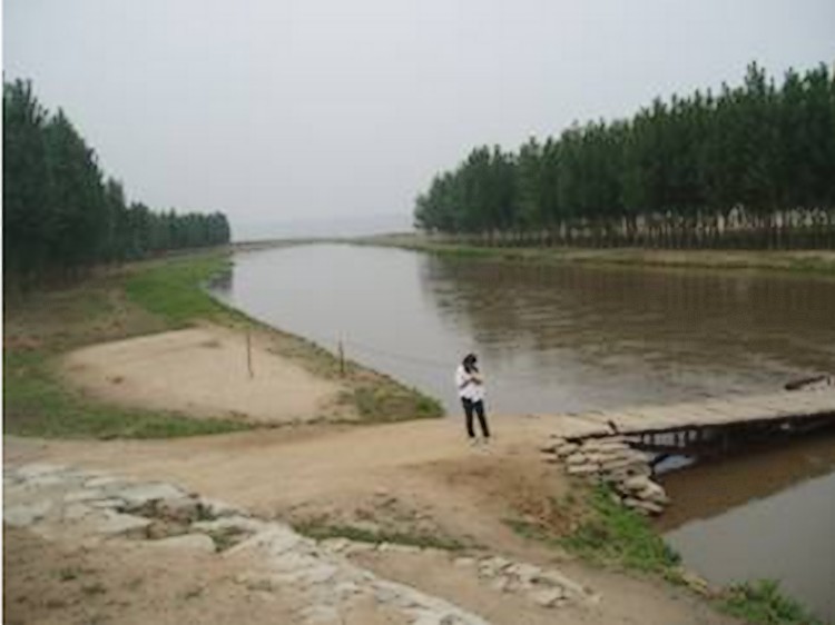 汾河河口附近景觀