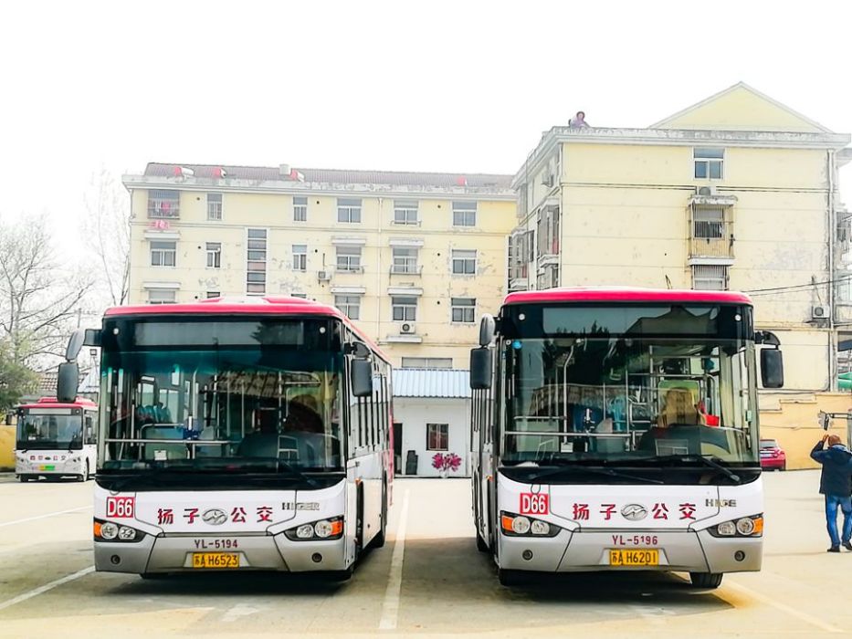 南京公交D66路 南京公交D66路