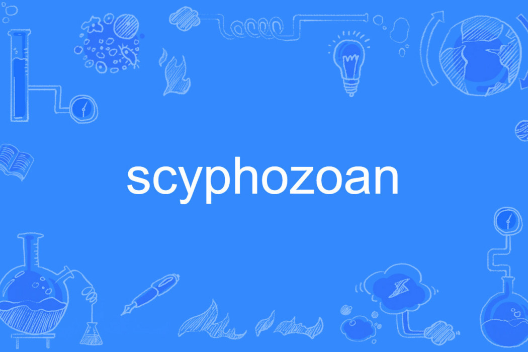 scyphozoan scyphozoan