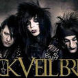 BlackVeilBrides樂隊 BlackVeilBrides樂隊