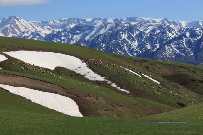 新疆巴爾魯克山國家級自然保護區(巴爾魯克山國家級自然保護區)