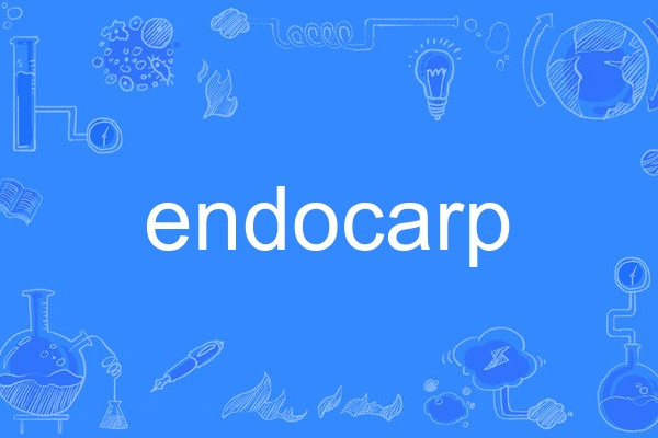 endocarp endocarp