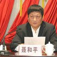 聶和平(安徽省阜南縣人民政府副縣長) 聶和平(安徽省阜南縣人民政府副縣長)