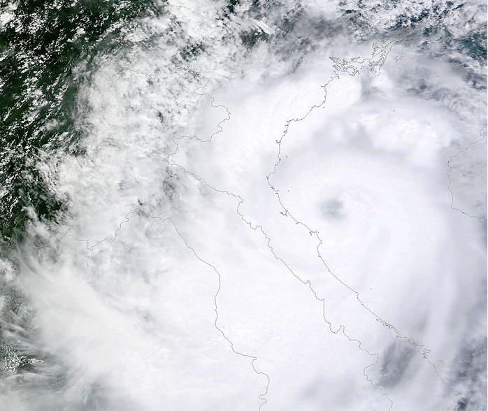 熱帶風暴蒲公英衛星雲圖