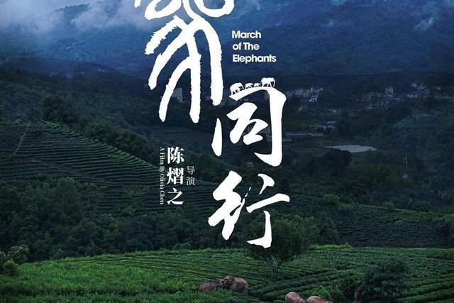 與象同行 與象同行