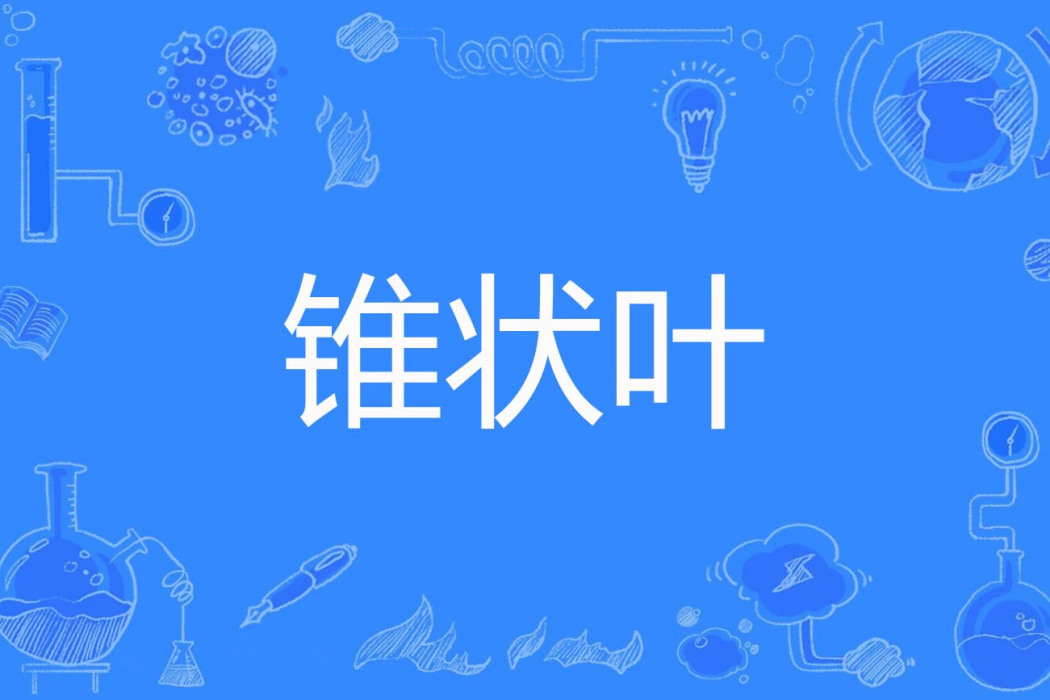 錐狀葉