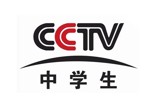 魅力少年 魅力少年