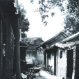頭髮胡同 頭髮胡同