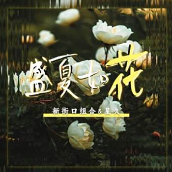 盛夏如花(2024年新街口組合、星久演唱的歌曲)