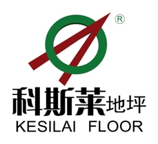 上海科斯萊logo