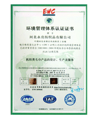 中文環境管理體系認證