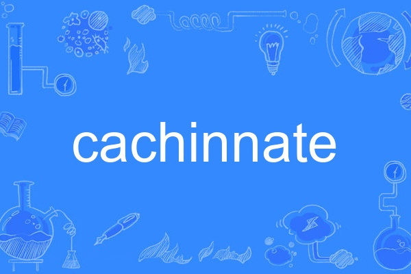 cachinnate cachinnate