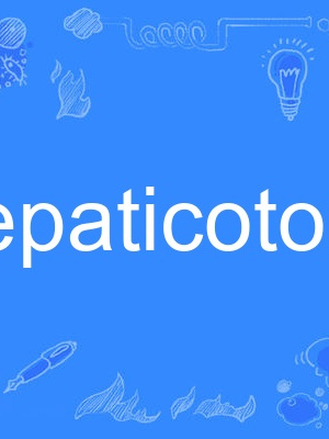 hepaticotomy hepaticotomy