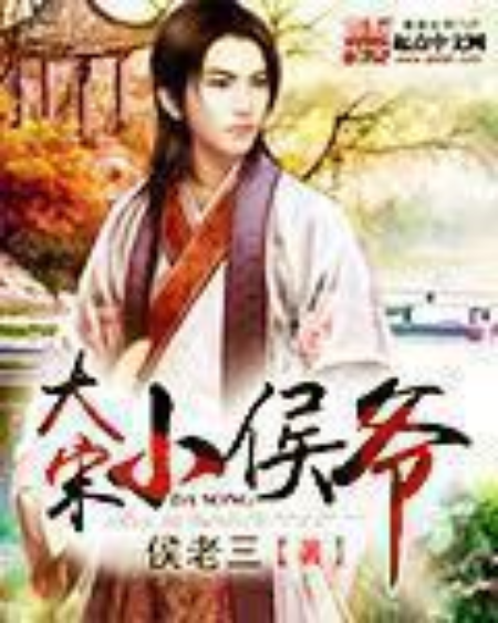 大宋小侯爺
