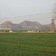 肖莊村(山東省濟寧市金鄉縣魚山街道肖莊村) 肖莊村(山東省濟寧市金鄉縣魚山街道肖莊村)
