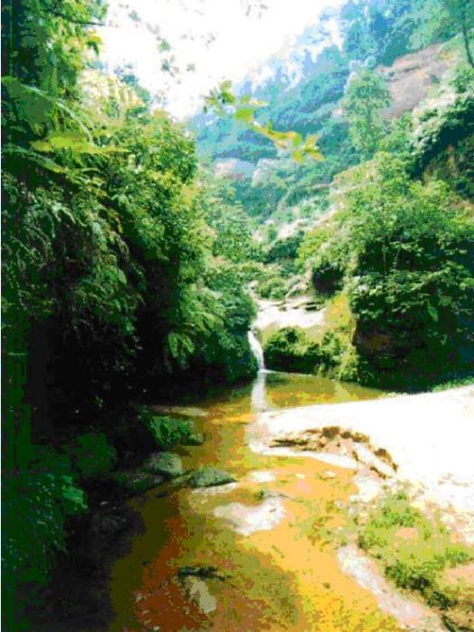 五條溝自然風景生態旅遊區(五條溝) 五條溝自然風景生態旅遊區(五條溝)