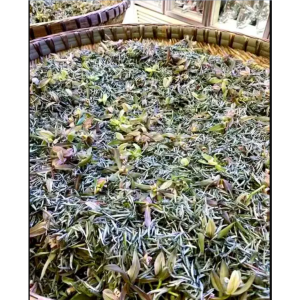 蘭妃茶 蘭妃茶