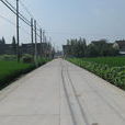 聯民村(上海市閔行區浦江鎮聯民村)