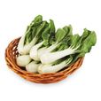 奶白菜 奶白菜