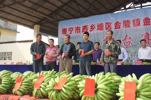 金陵鎮(廣西壯族自治區南寧市西鄉塘區下轄鎮)