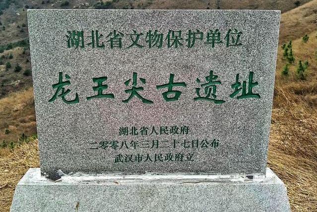 龍王尖遺址 龍王尖遺址