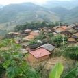 大八寨村 大八寨村