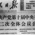 中國共產黨第十屆中央委員會第二次全體會議