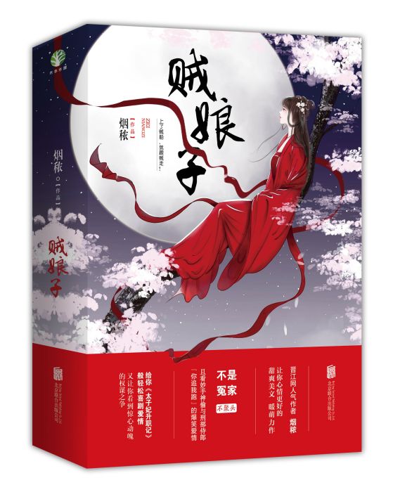 賊娘子(煙穠的小說) 賊娘子(煙穠的小說)