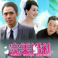 完美婚禮(2010年夏鋼執導電視劇) 完美婚禮(2010年夏鋼執導電視劇)
