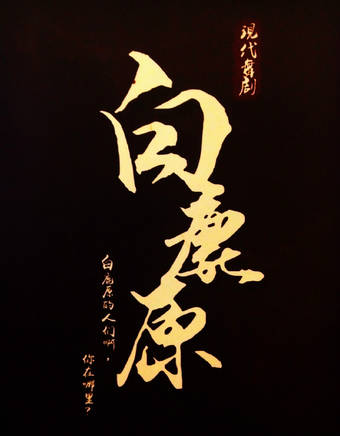楊蕊 楊蕊