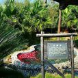 大明谷溫泉村 大明谷溫泉村