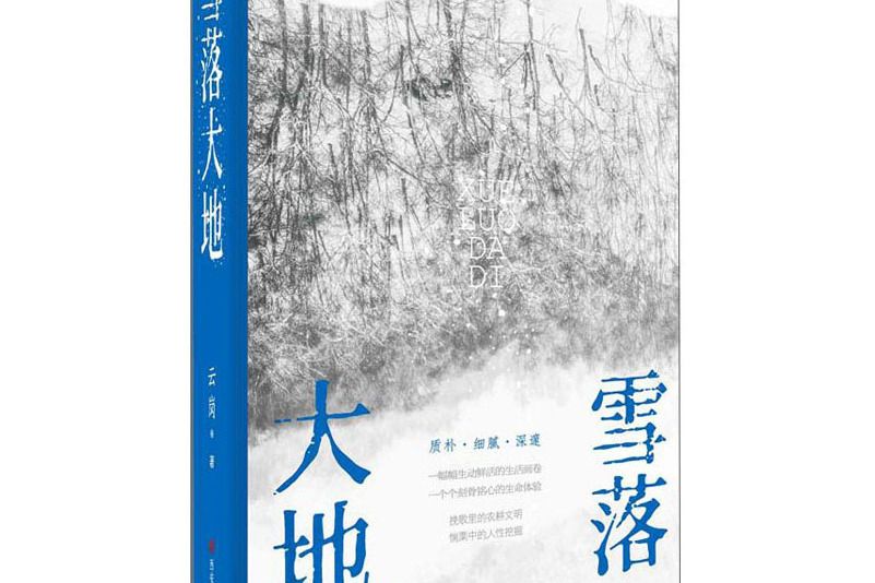 雪落大地 雪落大地