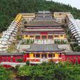 無量壽禪寺 無量壽禪寺