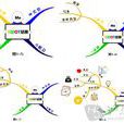 分析思維 分析思維
