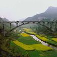 烏巢河大橋 烏巢河大橋