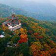 雲丘山