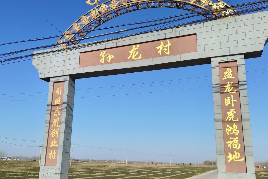 孫龍村(河北省滄州市南皮縣潞灌鎮下轄村) 孫龍村(河北省滄州市南皮縣潞灌鎮下轄村)