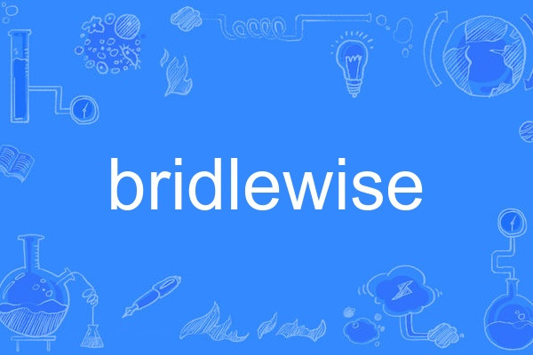 bridlewise bridlewise