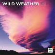 Wild Weather 2012 Wall Calendar