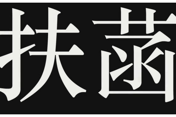 扶菡