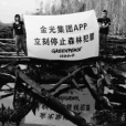 金鋸獎 金鋸獎
