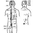 經別 經別